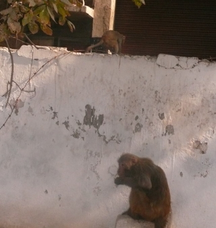 Images/delhi 041.jpg